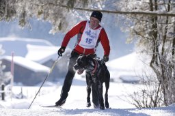 Lenk 2013